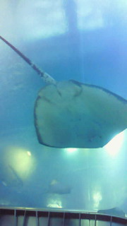 吉祥寺 美容室 NORI blog-200905191845000.jpg