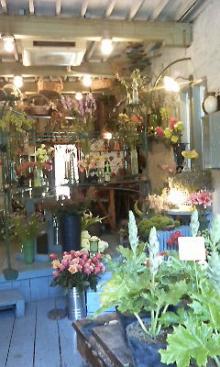 吉祥寺 美容室 NORI blog