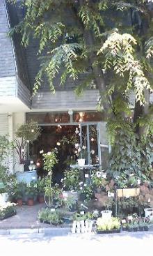 吉祥寺 美容室 NORI blog