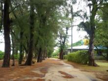 吉祥寺 美容室 NORI blog