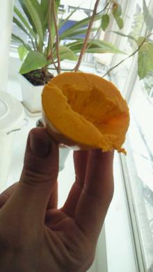 吉祥寺 美容室 NORI blog