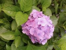 吉祥寺 美容室 NORI blog