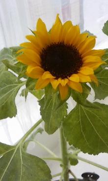 吉祥寺 美容室 NORI blog