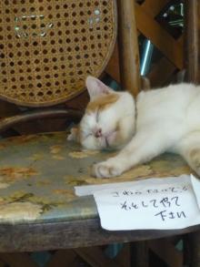 吉祥寺 美容室 NORI blog