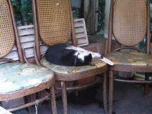 吉祥寺 美容室 NORI blog