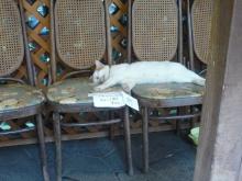 吉祥寺 美容室 NORI blog